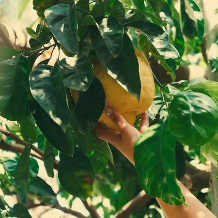 Frühstückspension Maria Grazia Vico Equense