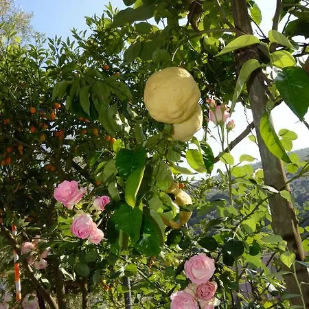 Maria Grazia Bed & Breakfast *