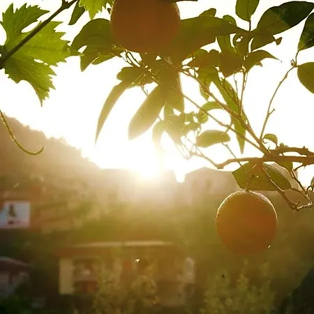 Maria Grazia Bed & Breakfast 3*